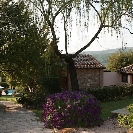 Il Paggino Chianti *