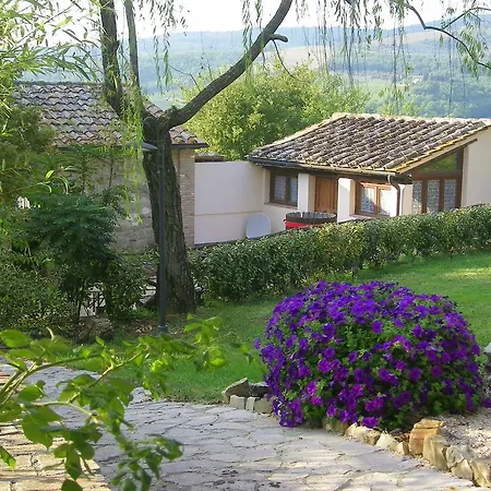 Il Paggino Chianti *