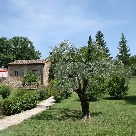 Il Paggino Chianti *