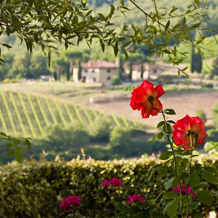 Il Paggino Chianti Εξοχικό σπίτι