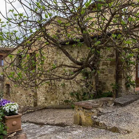 Il Paggino Chianti *